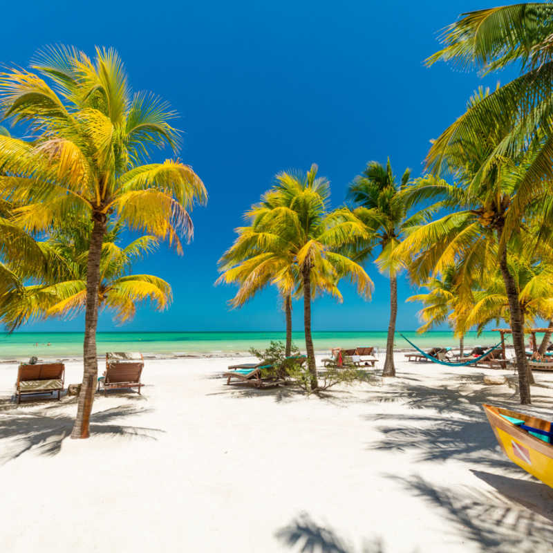 a white sand beach in holbox with palm trees