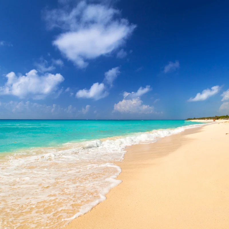 picture perfect beach coastline in playa del carmen