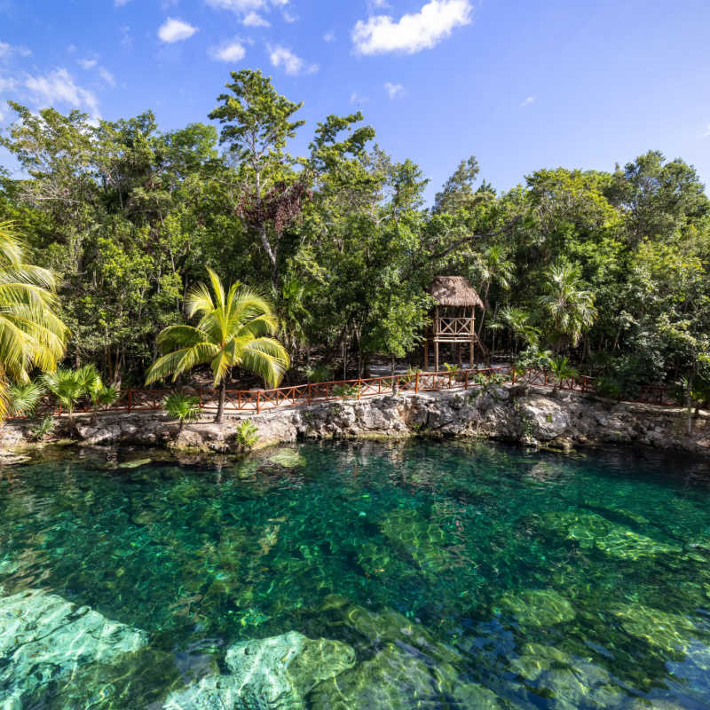 a pristine forest and water in tulum 