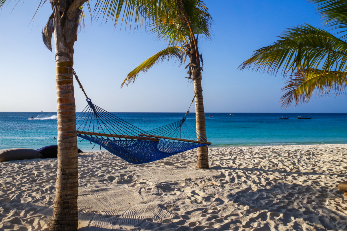 hammock on beach between two palm trees overlooking the water