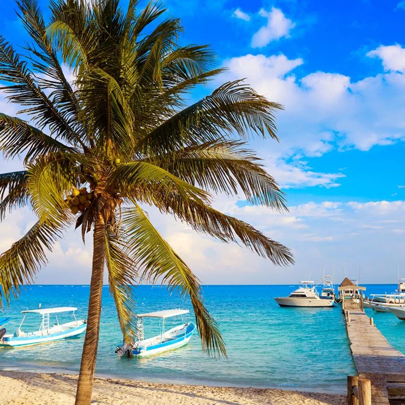 Beautiful Mexican Caribbean beach with palm trees, dock, and fishing boats
