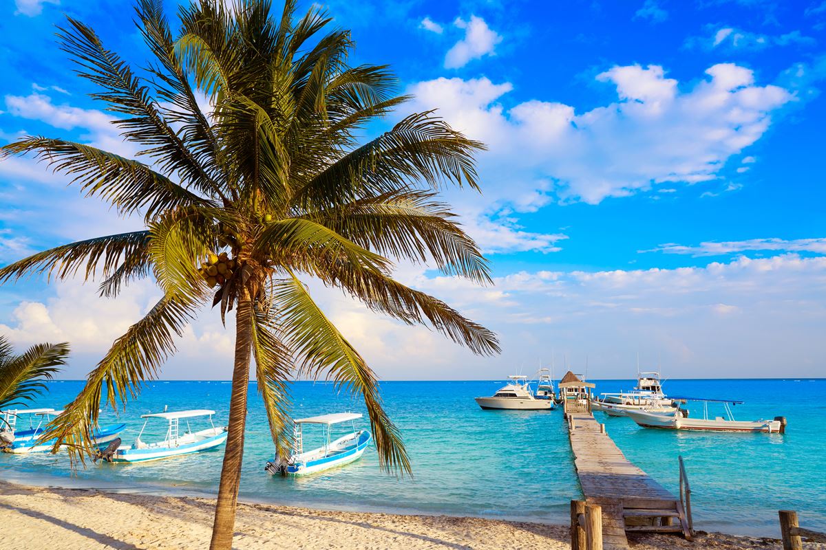 Beautiful Mexican Caribbean beach with palm trees, dock, and fishing boats