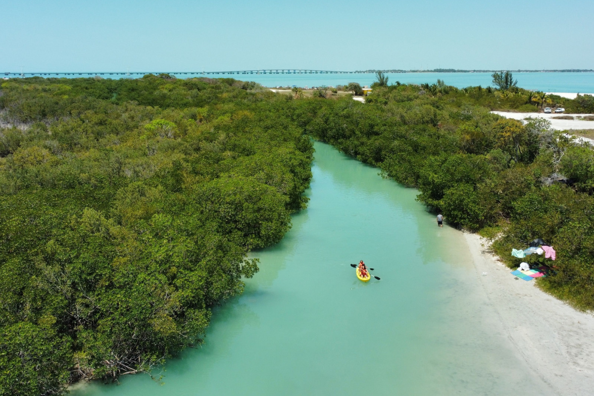 river in punta san julian among mangroves with tourists kayaking