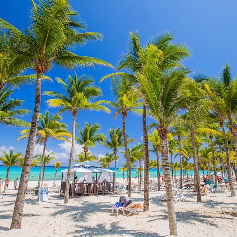 Playa del Carmen beach with palm trees
