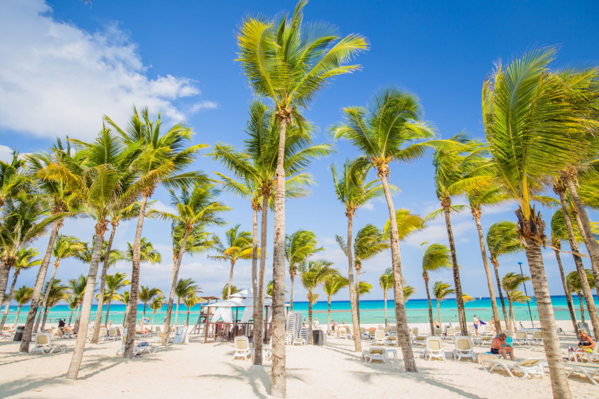 Beach in Cancun with palm trees on a sunny day