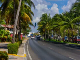 Cars Driving Down a Beautiful Palm Lined Street in Cancun, Mexico