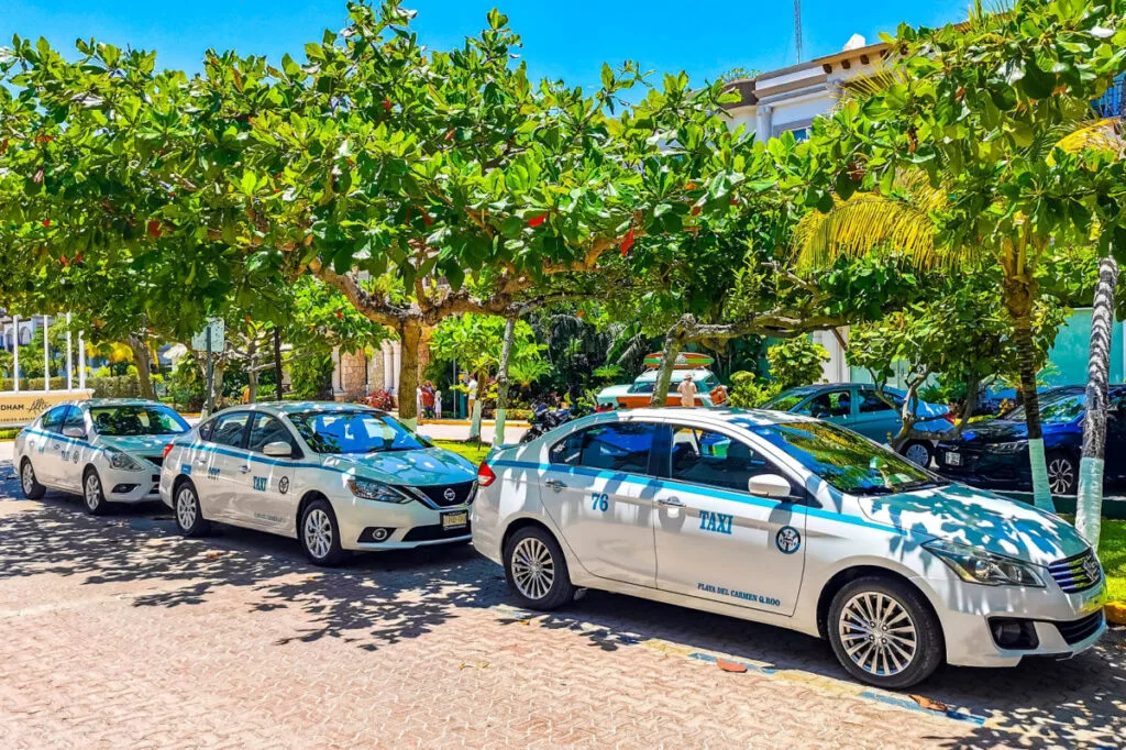 Taxis Parked Under Trees on a Road in Playa del Carmen, Mexico