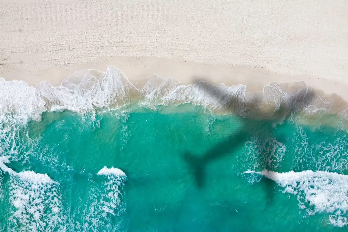 A silhouette of an airplane on a pristine caribbean beach