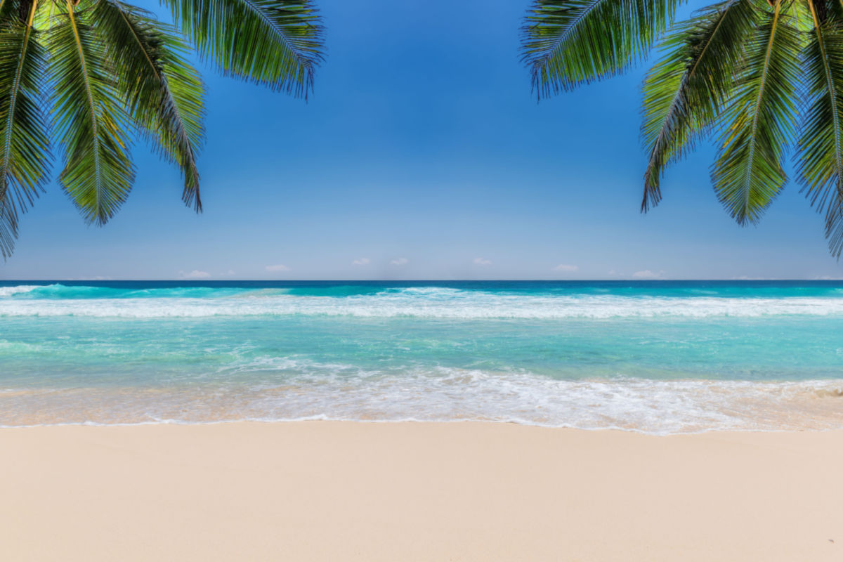 a pristine white sand beach in the mexican caribbean 