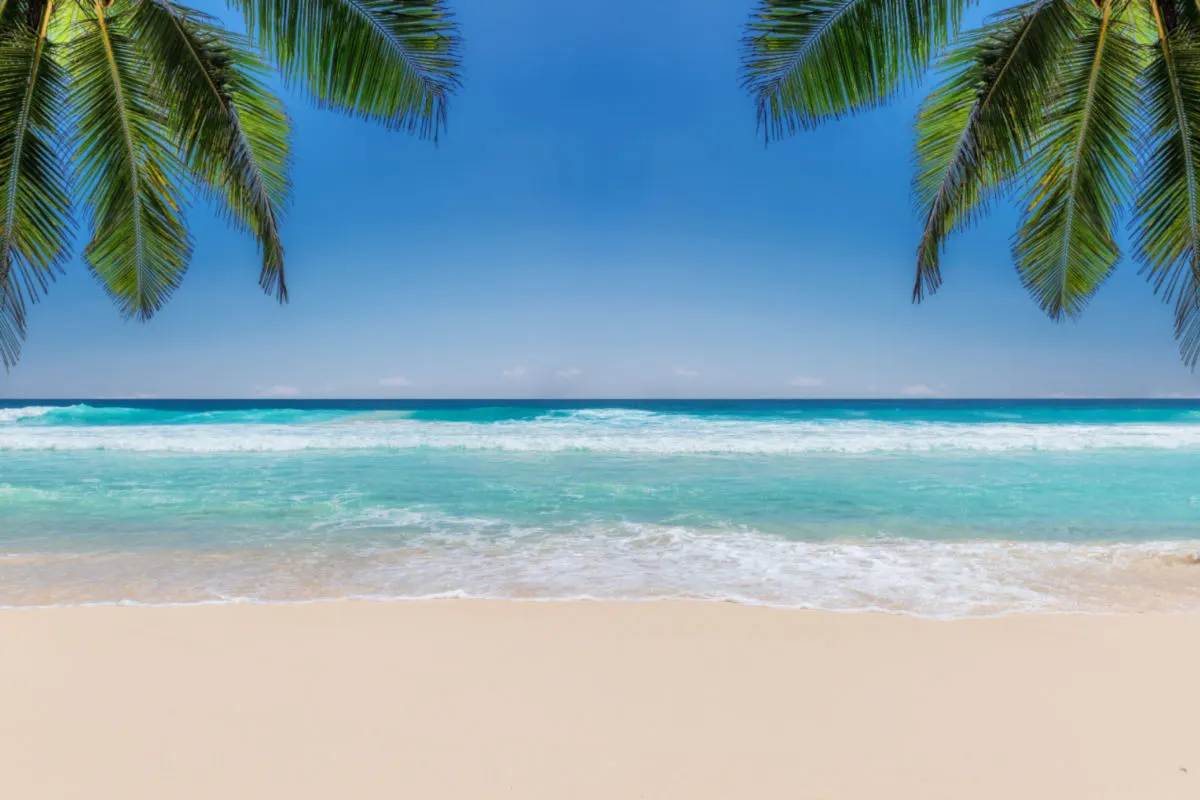 a pristine white sand beach in the mexican caribbean