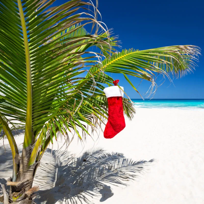 christmas stocking on a palm tree on the beach