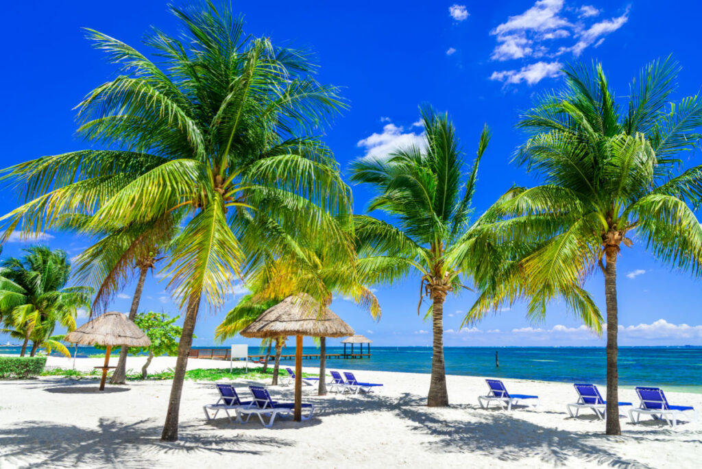 Beautiful Beach in Cancun, Mexico