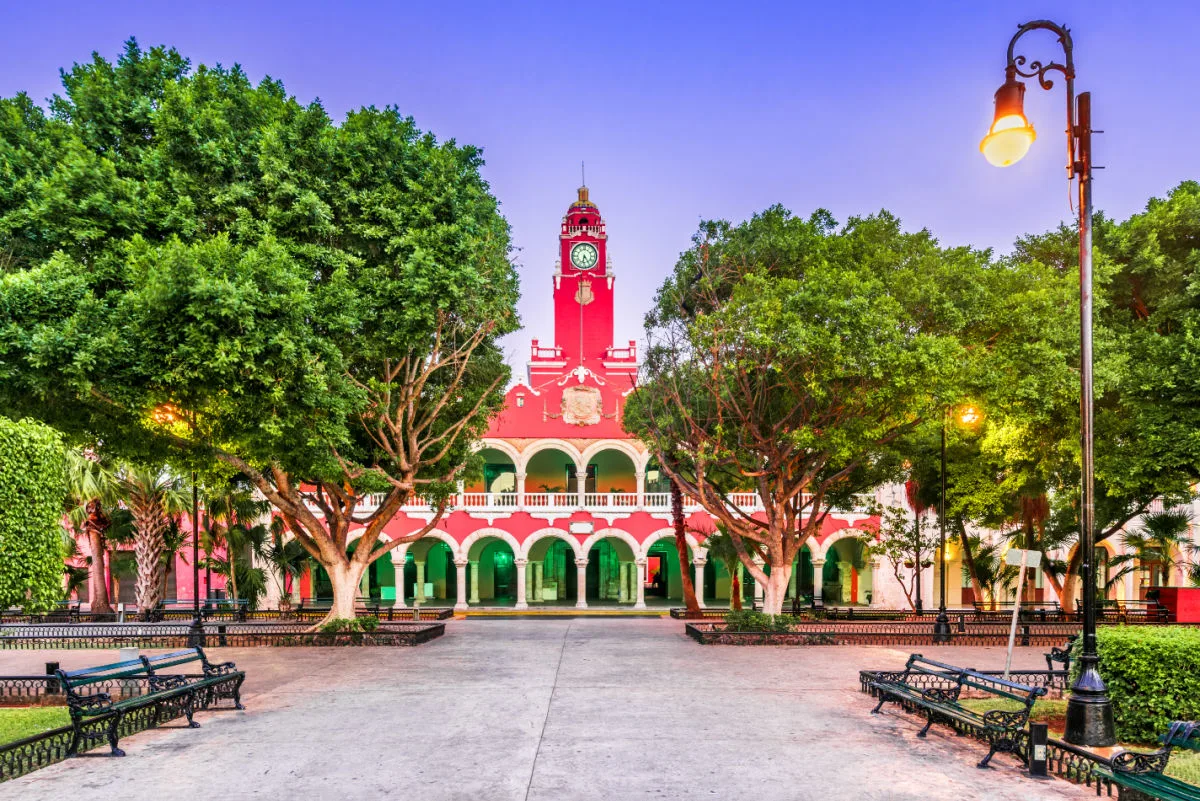 Beautiful Trees and Architecture in Merida, Mexico