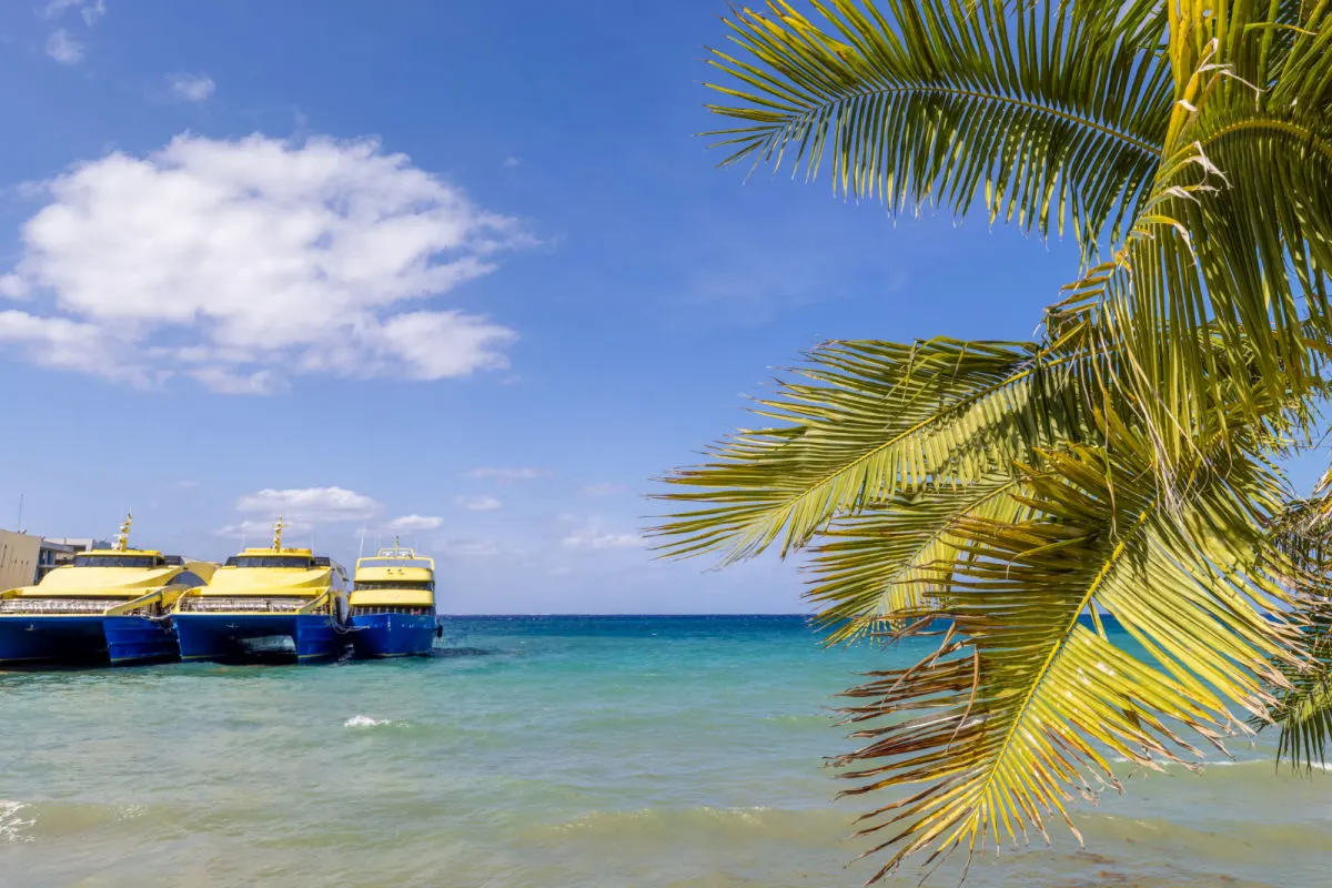 Palm trees and blue water in Playa del Carmen