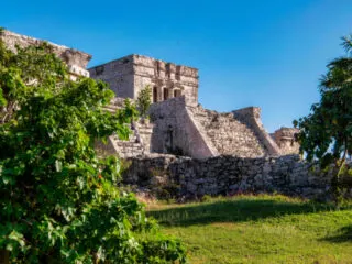 Popular Bus Service Adds Departures From Tulum Airport Amid Soaring Taxi Prices (1)