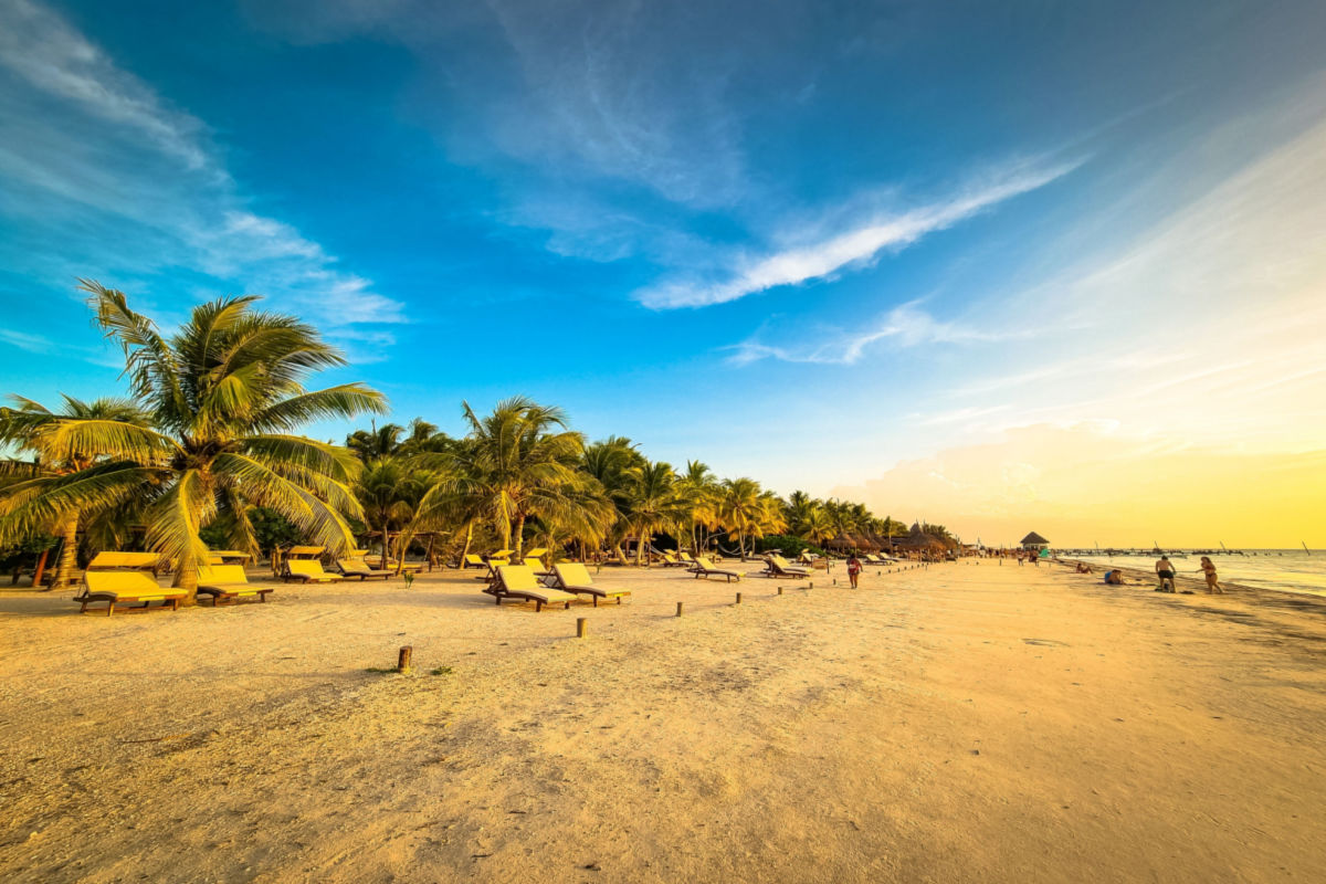 a white sand beach on holbox with palm trees