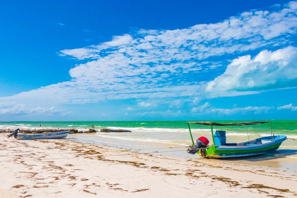 Small Amounts of Sargassum on a Beach in Holbox, Mexico