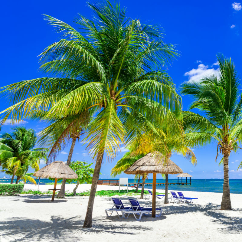 Small Beautiful Beach in Cancun, Mexico