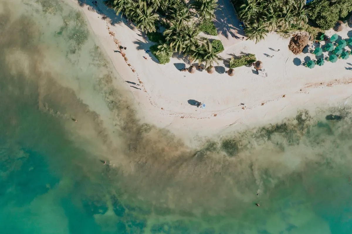 A playa del carmen beach from the air