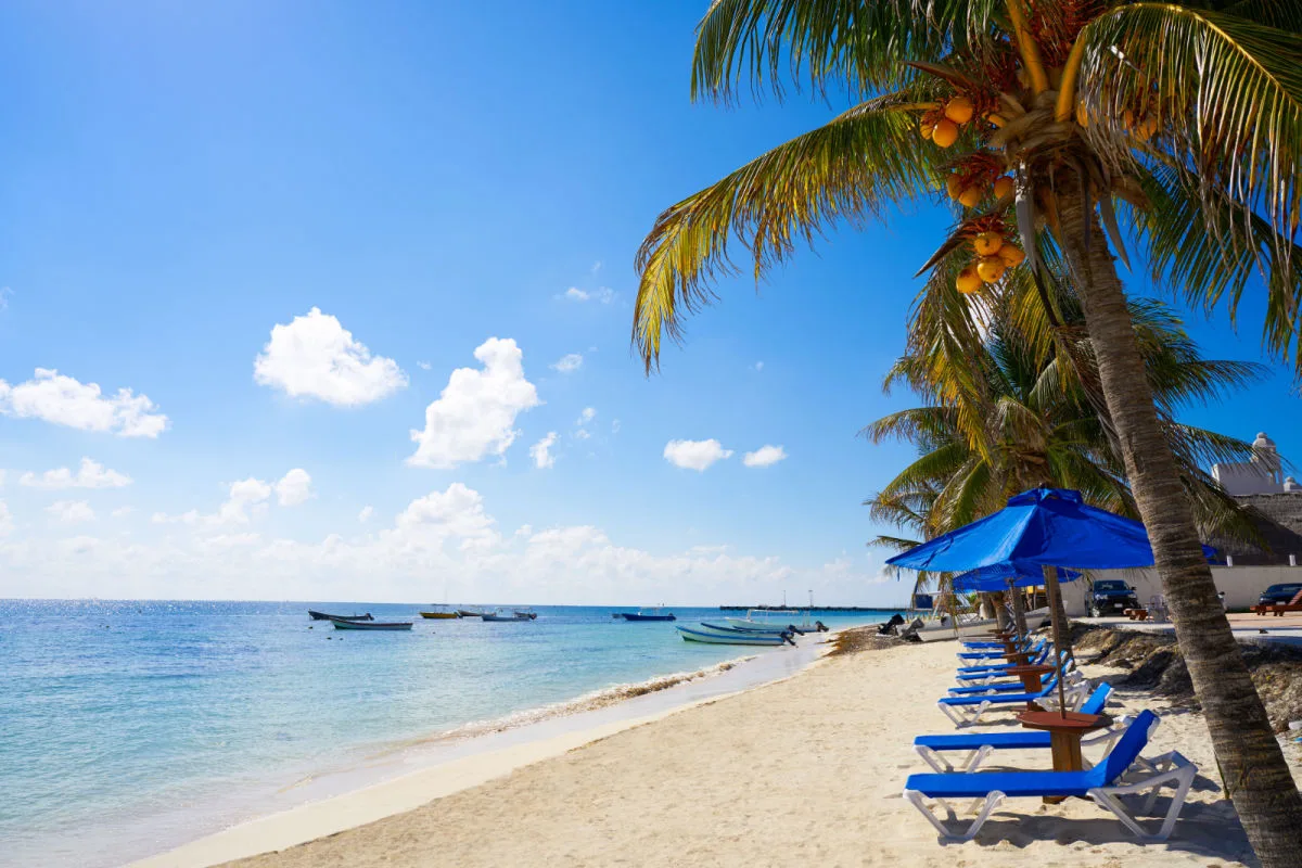 a white sand beach in puerto morelos with palm trees