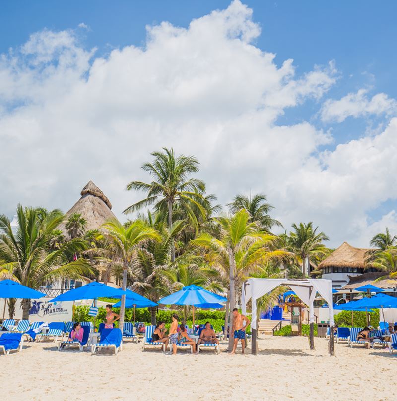 Beachgoers at Playa del Carmen beach with palm trees, sun loungers and beach umbrellas