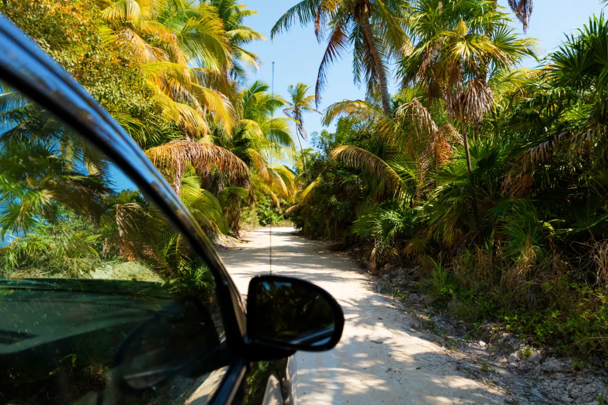 Car Driving Through the Sian Ka'an Biosphere
