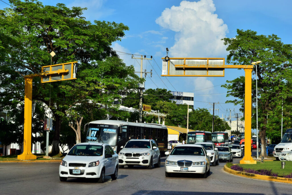 Cars on a Tree-Lined Street in Cancun, Mexico