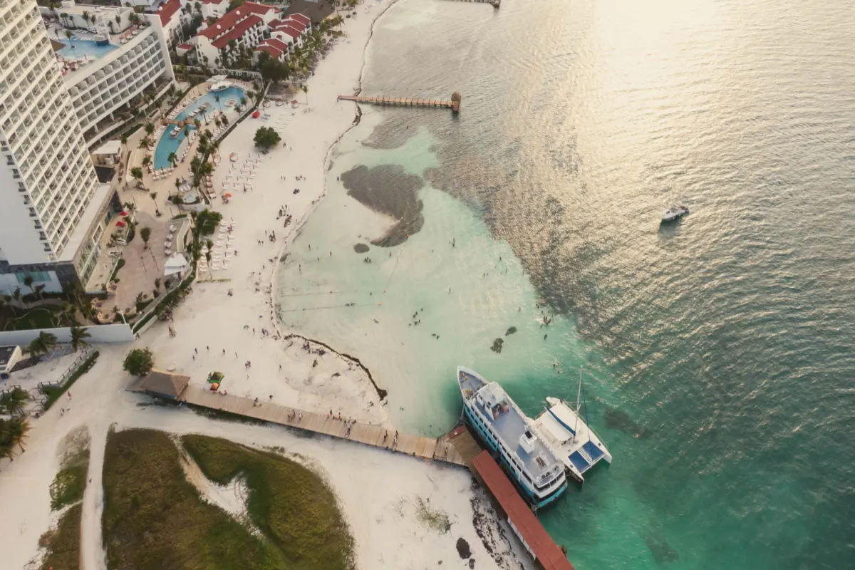 a popular beach in cancun covered in sargassum