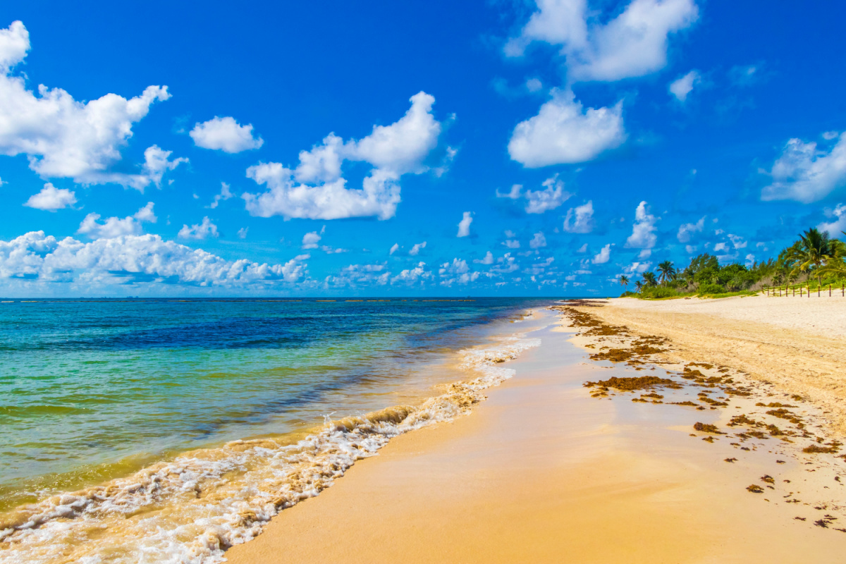 Minimal Amounts of Sargassum on a Beach in Playa del Carmen, Mexico