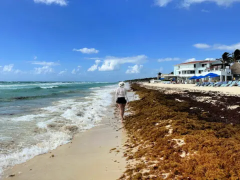 Woman Walking on Playa del Carmen Beach with Sargassum