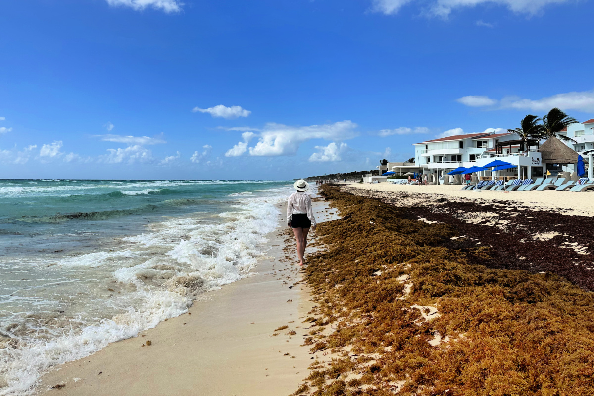 Woman walking on Playa del Carmen beach with Sargassum