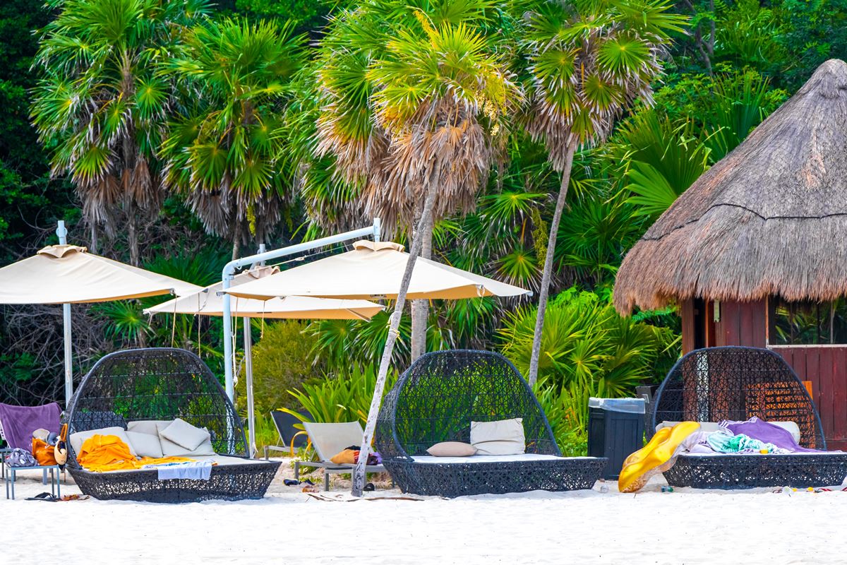 Sun loungers on the beach with lush jungle background in Playa del Carmen