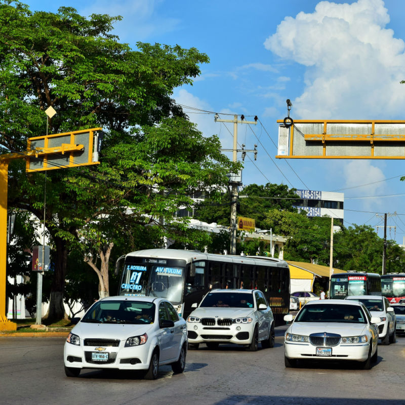 Cars on a Tree-Lined Street in Cancun, Mexico