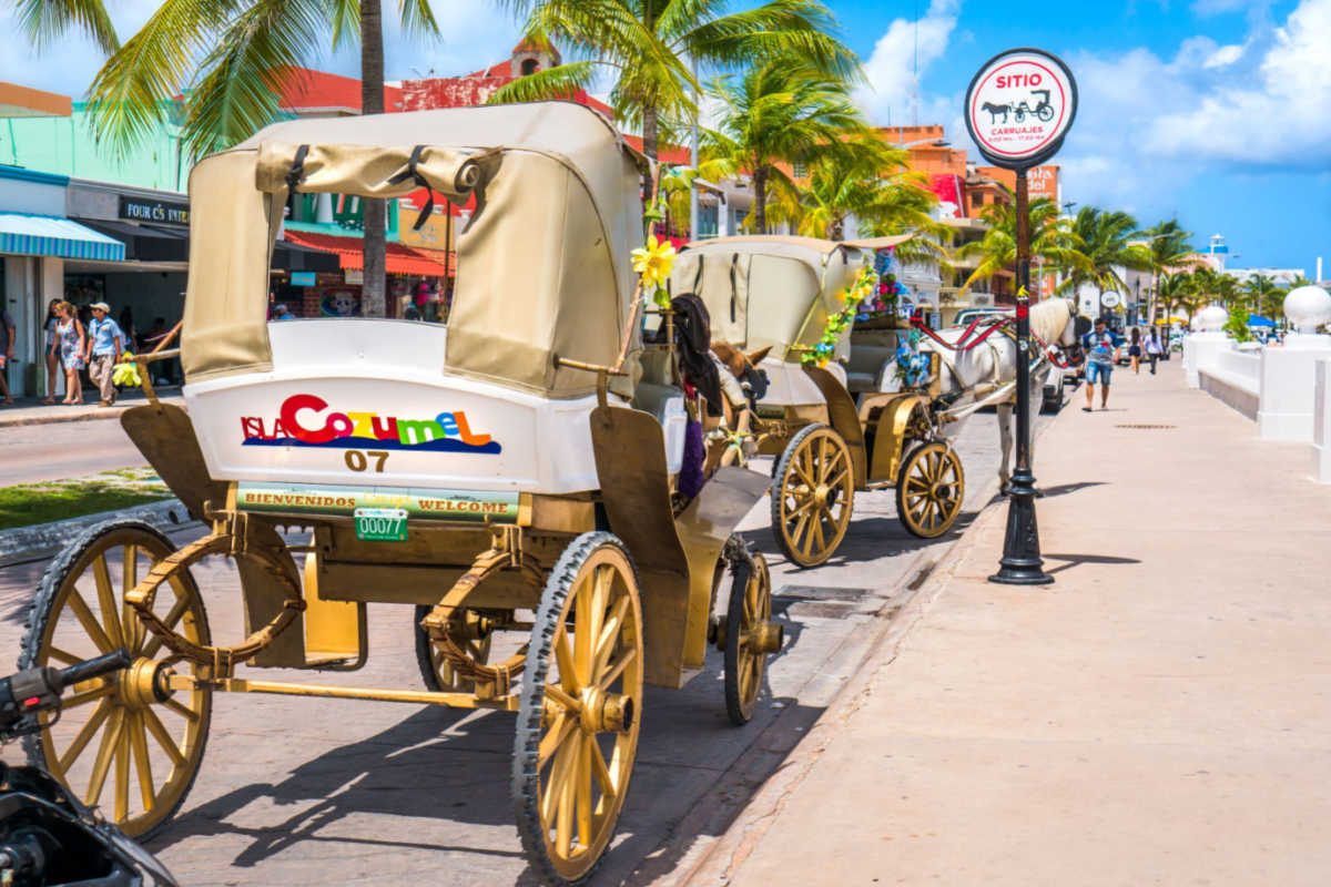 a horse carriage in cozumel on a busy street
