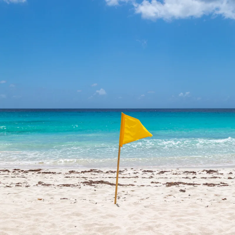 yellow flag warning on beach
