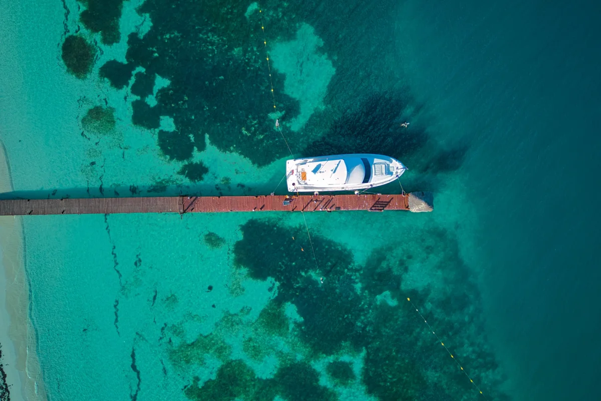 Aerial view of Cancun pier with boats and sargassum