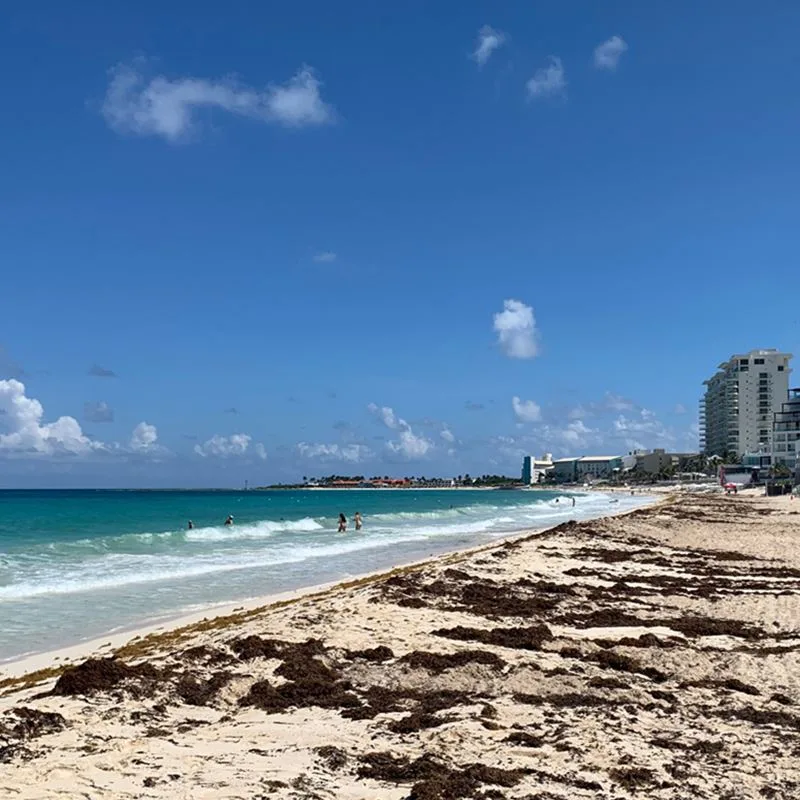 Cancun hotel zone beach with sargassum seaweed