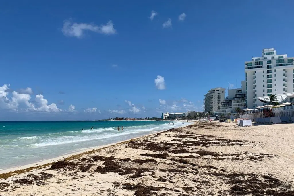 Mexican Navy Launches Ambitious Initiative To Combat Sargassum In Cancun & Riviera Maya