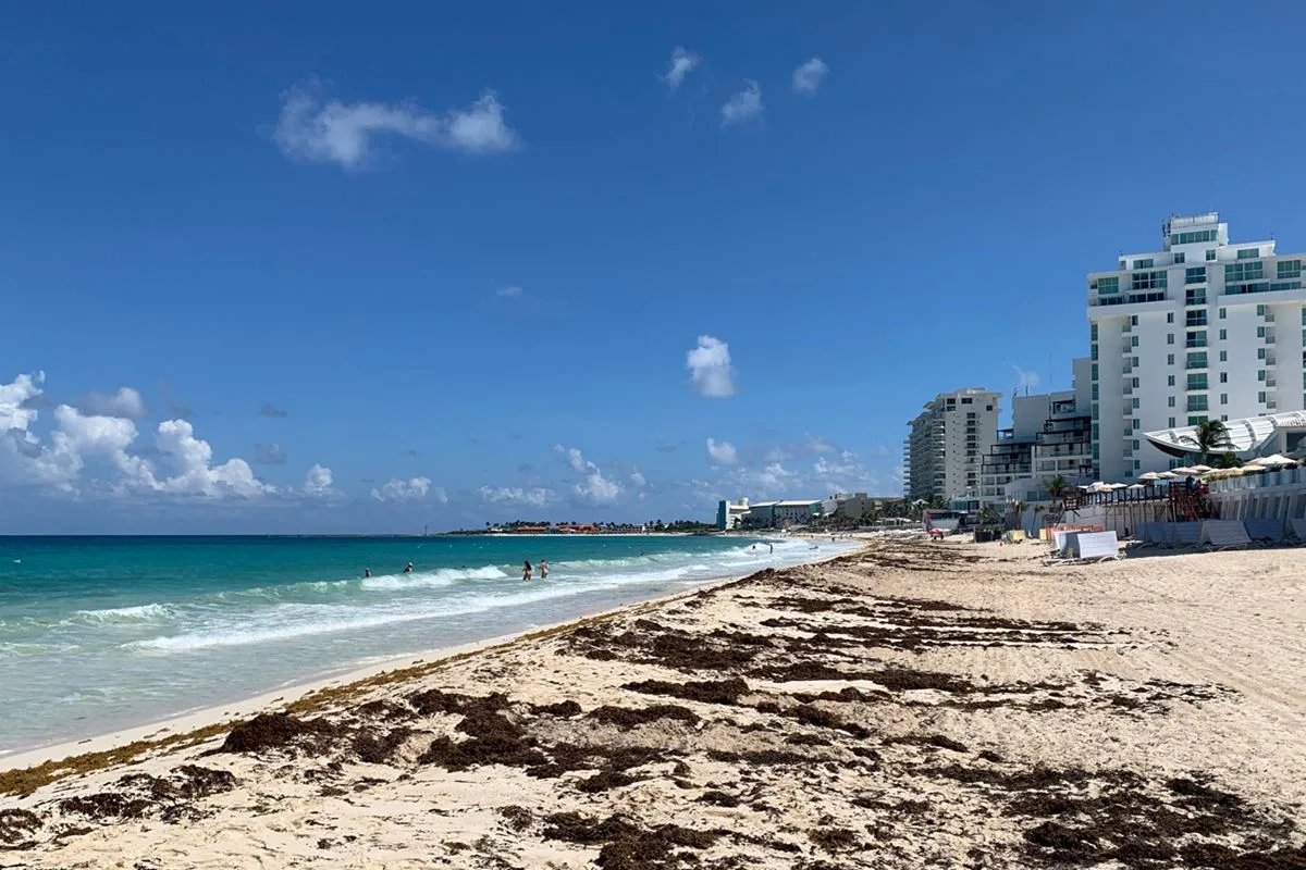 Cancun hotel zone beach with sargassum seaweed