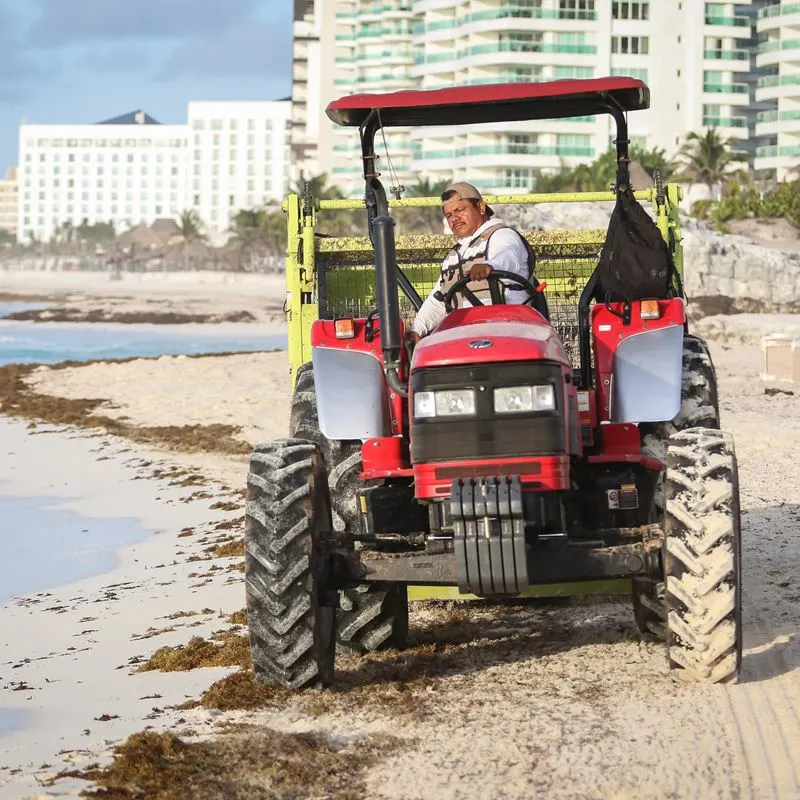 Machine Being Used to Clean Up Sargassum in Cancun, Mexico