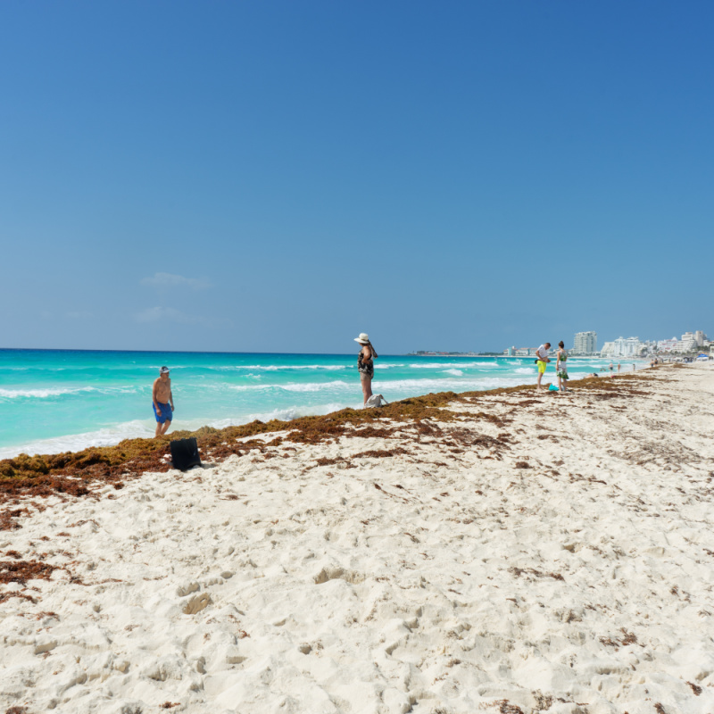 Tourists Standing in Sargassum On a Beach in Cancun, Mexico