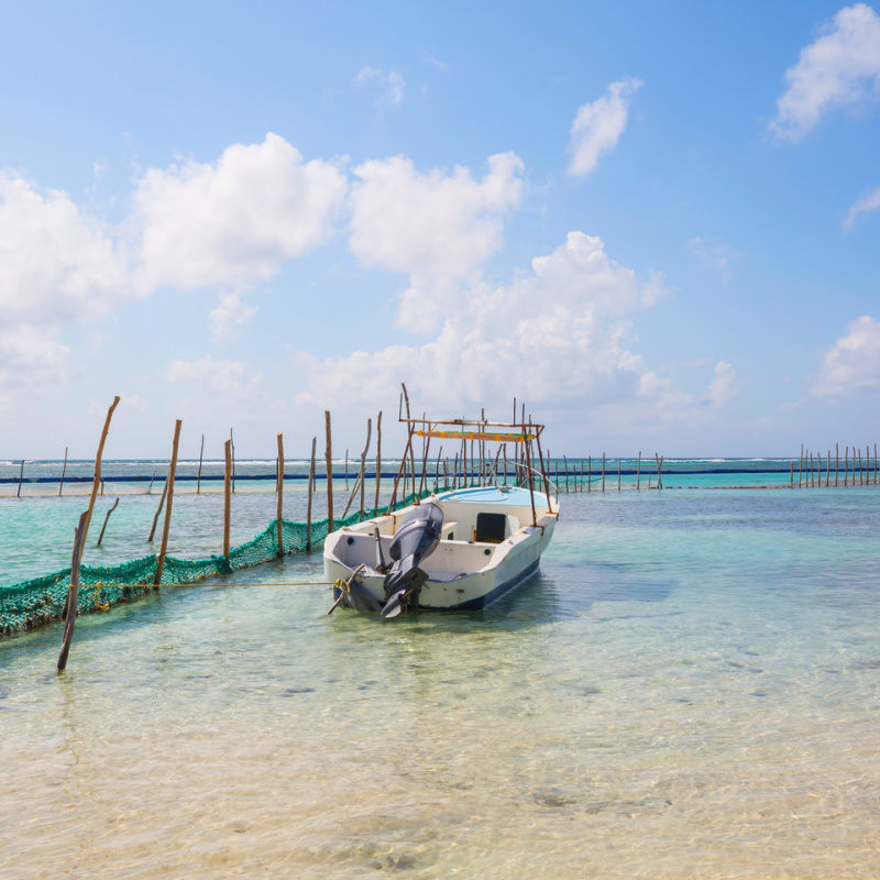 fishing boat in shallow water in Isla Mujeres