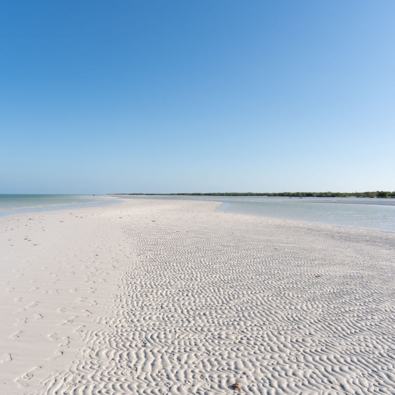 a white sand beach and clear water in holbox