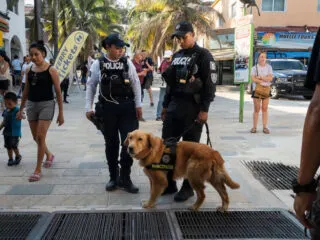 Playa Del Carmen Sends National Guard Troops To Protect Tourists (1)