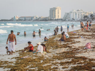 Playa Delfines in Cancun, Mexico Covered in Sargassum and Filled With Tourists