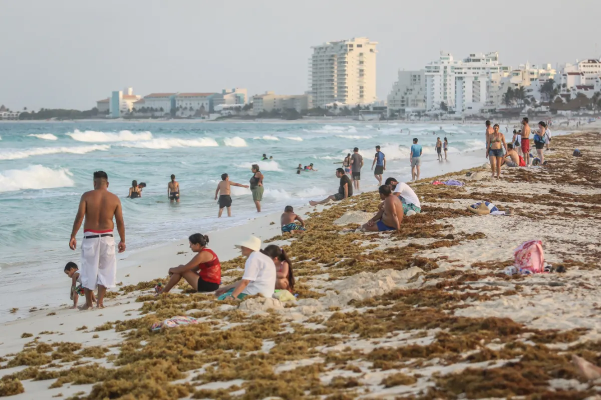 Playa Delfines in Cancun, Mexico Covered in Sargassum and Filled With Tourists