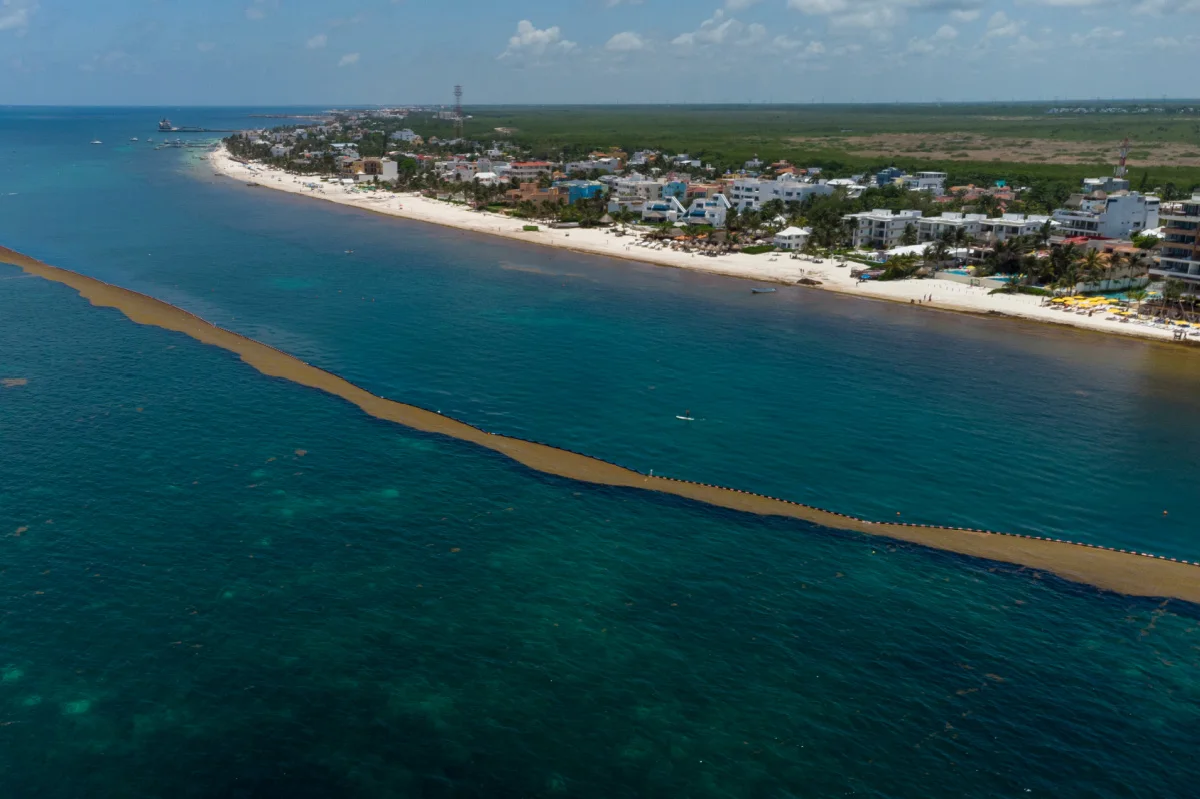 Small Sargassum Barrier in Cancun, Mexico