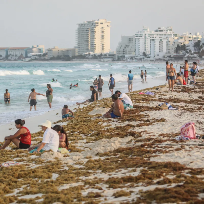 Playa Delfines in Cancun, Mexico Covered in Sargassum and Filled With Tourists