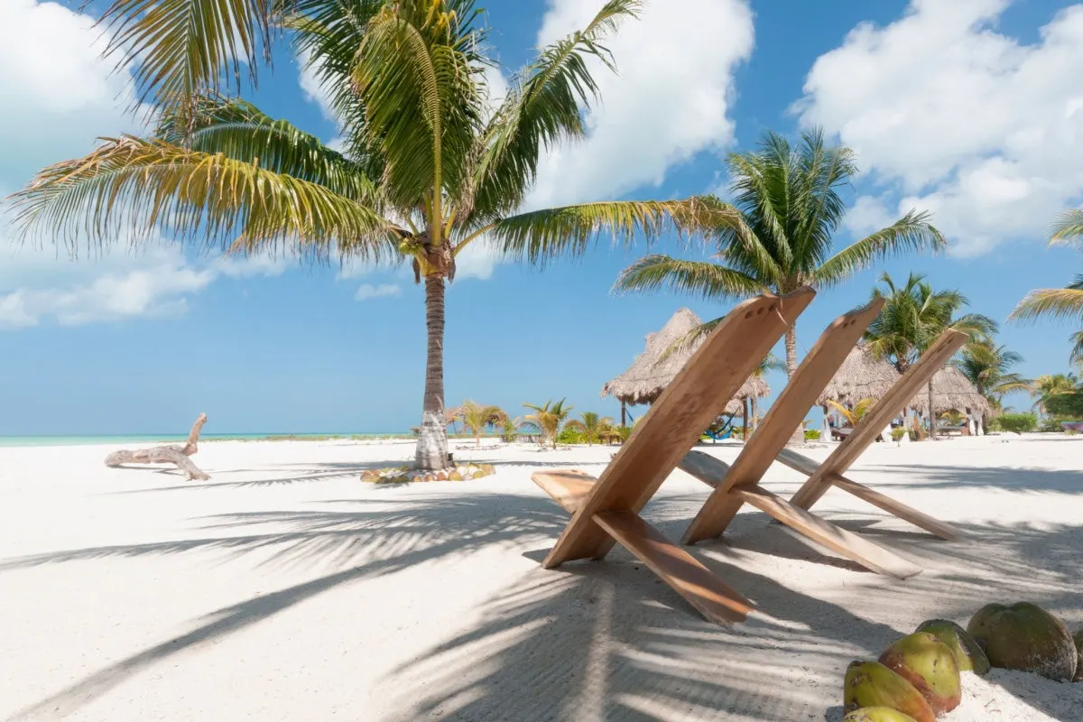 a white sand beach in holbox with palm trees