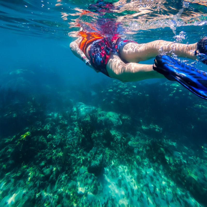 a traveler snorkeling n cancun with blue water